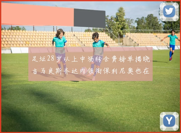 足坛28岁以上中场转会费榜单揭晓吉马良斯齐达内领衔保利尼奥也在列