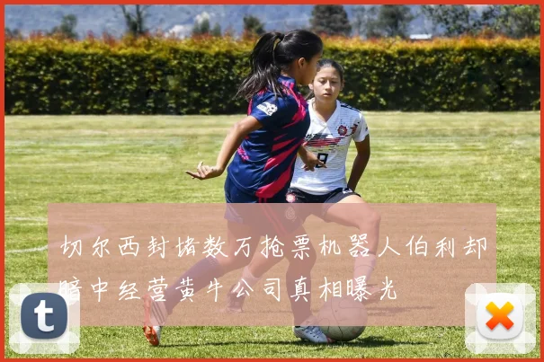 切尔西封堵数万抢票机器人伯利却暗中经营黄牛公司真相曝光